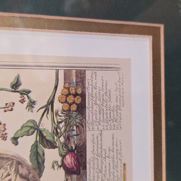 Robert Furbe's Twelve Months Of Flowers Framed Floral Art Print with Gold Frame - Picture 7 of 11